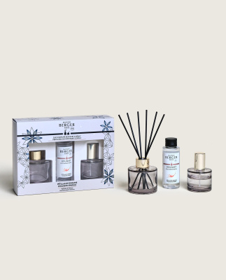 Набор подарочный Розали: интерьерные спрей-духи 50мл и диффузор 90мл с ароматом Брызги шампанского